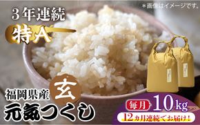 【先行予約】【全12回定期便】福岡県産【特A】評価のお米「元気つくし」5kg×2袋 [10kg] [玄米]【2024年11月下旬以降順次発送】《築上町》【株式会社ベネフィス】[ABDF120]