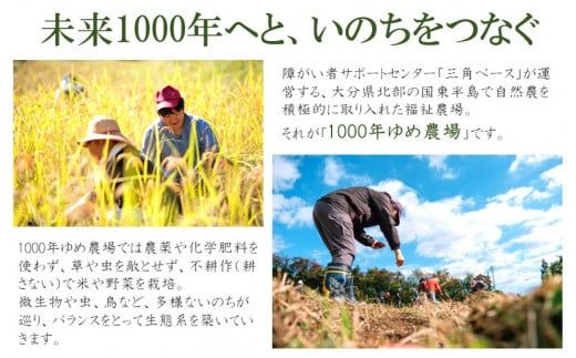 1000年ゆめ農場「びわの葉茶」_1925R