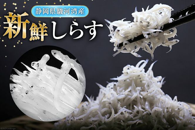駿河湾産 しらす干し100g×3 釜上げしらす120g×3 [マルあ水産 静岡県 吉田町 22424639] 魚 海鮮 しらす 白子 シラス 天日 じゃこ 小分け おじゃこ しらす干し