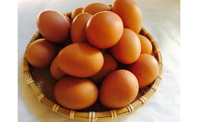  B1809ひまわりたまご紅白セット（２段）※破卵補償10個含 卵 鶏卵 玉子