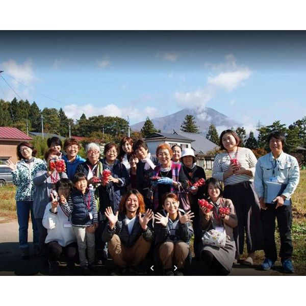 【先行受付】＜2026年８月～発送＞オーガニックエコフェスタ　2020秋冬大玉トマト部門最優秀賞 2022秋大玉トマト部門最優秀賞　受賞トマト　とまと　A級トマト