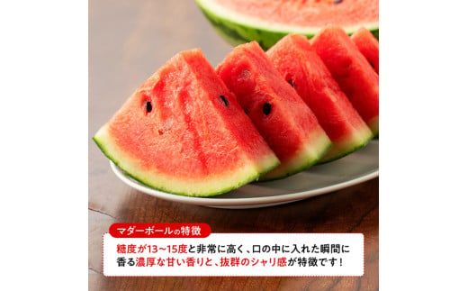 【令和8年産】宮崎県産　小玉スイカ（マダーボール）2玉 【 数量限定 国産 宮崎県産 西瓜 フルーツ 果物 】 [C10701]