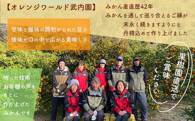 【先行受付】 贈答用 手選別　和歌山県産 有田みかん 旬果傳承 3.5kg 完熟 特選 武内園 光センサー BA25