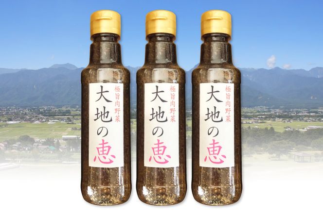 にんにくドレッシング 「大地の恵」 甘口 200ml×3本 [矢口農園 長野県 池田町 48110485] 