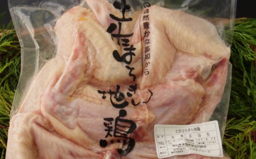 【３回お届け】はちきん地鶏定期便【２～３人前】　ag018