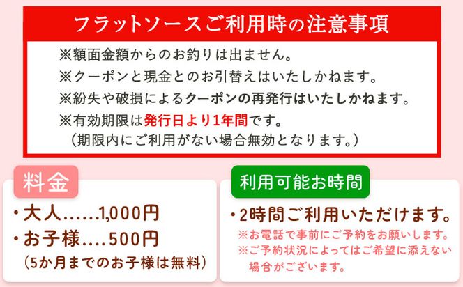 施設利用券 3000円分 チケット (500円チケット×6枚) こどもとおもちゃのフラットソース《30日以内に出荷予定(土日祝除く)》熊本県大津町 赤ちゃん こども おもちゃ パパ ママ グッドトイ チケット 施設利用券 保育士 おもちゃインストラクター---so_flatriyo_30d_23_13000_3000en---