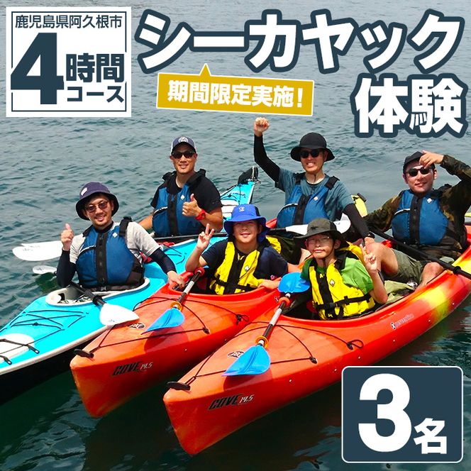 期間限定実施 シーカヤック体験チケット(4時間/3名) 阿久根 シーカヤック アウトドア アクティビティ 自然 体験 ツアー チケット マリンスポーツ【パズル】akn098-11