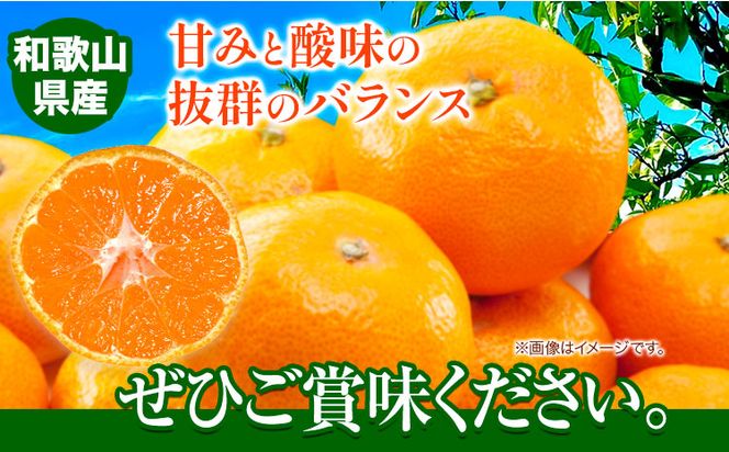 みかん 完熟有田みかん 約 3kg  有田マルシェ《11月下旬-1月上旬頃出荷予定》 和歌山県 日高町 みかん 有田 みかん 柑橘 フルーツ 完熟 ミカン 蜜柑 送料無料---wsh_arm10_h111_23_7000_3kg---