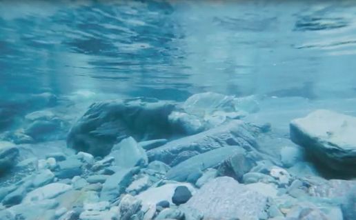 トイレットペーパー詰め合わせ24パックセット（藤の香り＆シルティロマン / 96ロール）