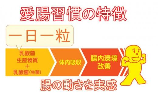 a15-523　腸活 サプリ 愛腸習慣（3袋）酵素 乳酸菌 米ぬか