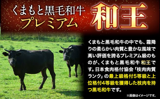くまもと黒毛和牛 和王 バラ 霜降り 焼肉切り落とし 550g A5 A4 等級《60日以内に出荷予定(土日祝除く)》熊本県 玉東町 黒毛和牛 牛肉 冷凍 個別 取分け 小分け チャック付き バラ凍結 肉 お肉 焼き肉 焼き肉用---gkt_fwow_60d_24_12000_550g---