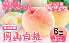 【先行予約】 岡山県産 岡山白桃  6玉 (240g以上) 【配送不可地域あり】 《7月上旬-8月下旬頃出荷》 岡山県 矢掛町 桃 もも 白桃 果物---osy_chbf3_ak7_26_23000_6---