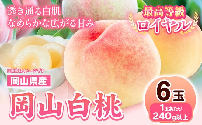 yR|zys\z RY R  6 (240gȏ) yzsn悠z s7{-8{oׁt R |    ʕ---osy_chbf3_ak7_26_23000_6---