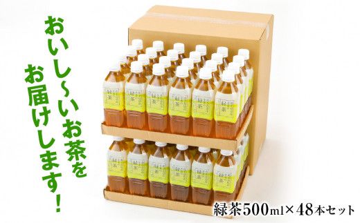 【定期便】トライアルのおいし～い緑茶（500ml×48本）を2か月に1回、合計3回お届け