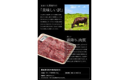 【A01023】 豊後黒毛和牛焼肉詰合せ約700g