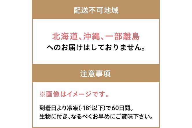 大満足！京丹後・海鮮BBQ　Eセット　豪華盛り合わせ　生ズワイガニ　付　6種21品（4～5人前）　YK00370