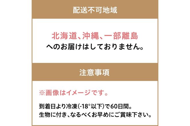 大満足！京丹後・海鮮BBQ　Aセット　5種20品（3～4人前）　YK00143