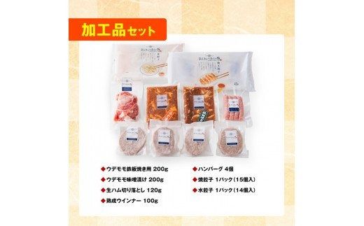 加工食品 さんきょうみらい豚 満喫セット （加工品） 【 満喫 セット 精肉 豚肉 国産 九州産 宮崎県産 川南町産 ウデ モモ 鉄板焼き みそ漬け 味噌漬け 生ハム ハンバーグ 簡単調理】 ☆ [E0102c]
