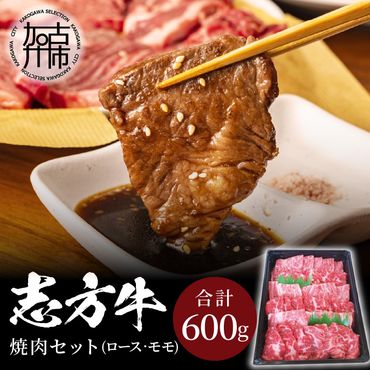 志方牛焼肉セット(600g)