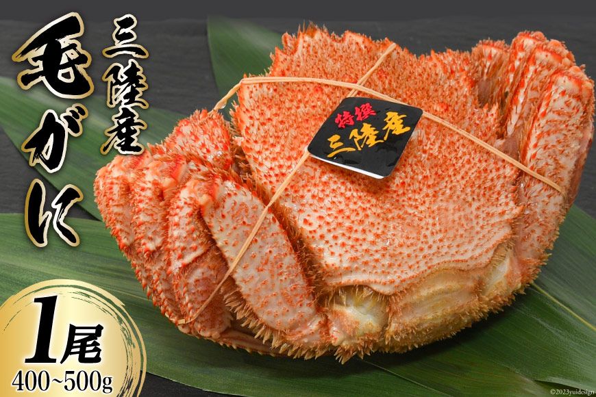 三陸産 毛蟹 総重量400〜500g (正味重量 300〜400g)1尾 濃厚かに味噌 [かわむら家 宮城県 気仙沼市 20564379] 国産 かに カニ 蟹 毛ガニ 毛がに 毛蟹 三陸 三陸毛ガニ 三陸毛がに 三陸毛蟹 ボイル 冷凍 かにみそ カニ味噌 海鮮 海産物 魚介類 甲殻類