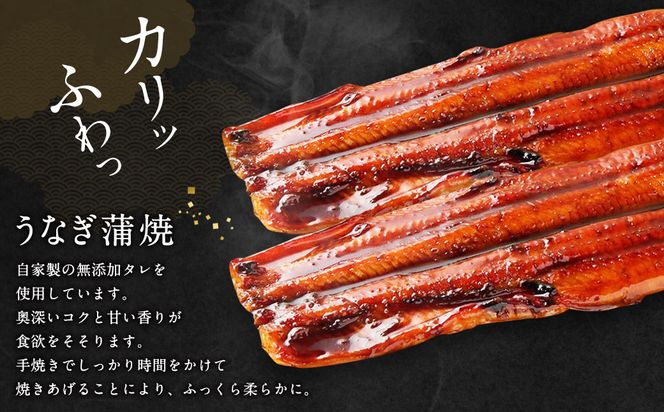 三河一色うなぎ蒲焼2尾 白焼2尾 (肝焼き付き) 合計640g以上 うなぎ 蒲焼 鰻