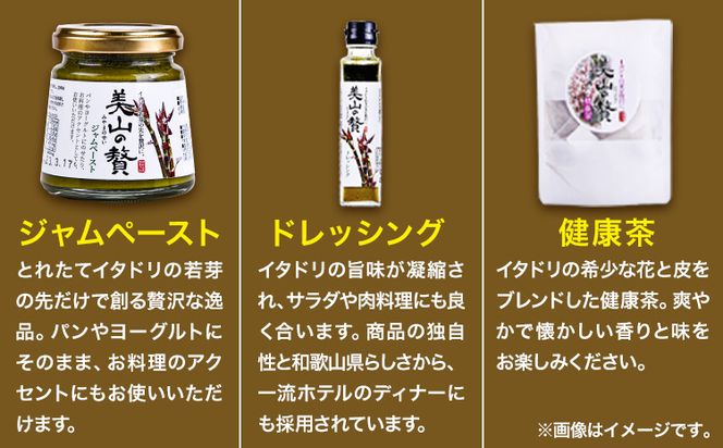 ～美山の贅シリーズ～ イタドリ３品詰め合わせセット 日高川町生活研究グループ美山支部《30日以内に出荷予定(土日祝除く)》和歌山県 日高川町 ジャム 山菜 ドレッシング 茶 イタドリ---wshg_hsk7_30d_24_14000_3i--