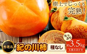 ◆2026年先行予約◆希少 紀の川柿 約3.5kg~4kg（種無し） 秀選品 (玉数おまかせ) 厳選館 《2026年11月上旬-11月中旬頃出荷》 和歌山県 日高町 柿 カキ かき ジューシー フルーツ 青果 果物---wsh_gsk167_11j11c_25_19000_4kg---