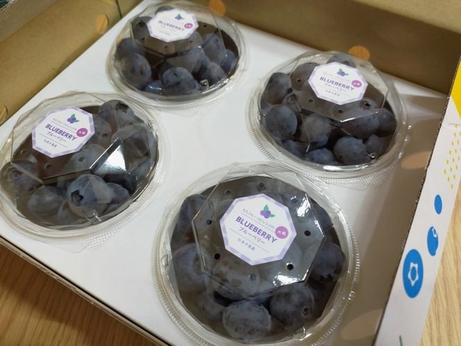 採れたて!大粒系ブルーベリー 100g×4パック ※2025年5月上旬〜7 採れたて!大粒系ブルーベリー 100g×4パック ※2025年5月上旬〜7