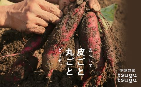 【先行予約】【農薬・化学肥料不使用】ねっとり甘~い おいもさん（紅はるか） ５kg   ey002n00