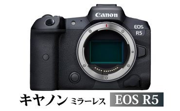 【R14141】 キヤノンミラーレスカメラ　EOS R5
