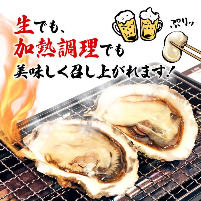 岩手県産冷凍殻付き牡蠣（生食可）10kg(180～230g）殻付 殻付き 生食 冷凍 殻付き 生食用 三陸 三陸産 大船渡 [koku005_180]