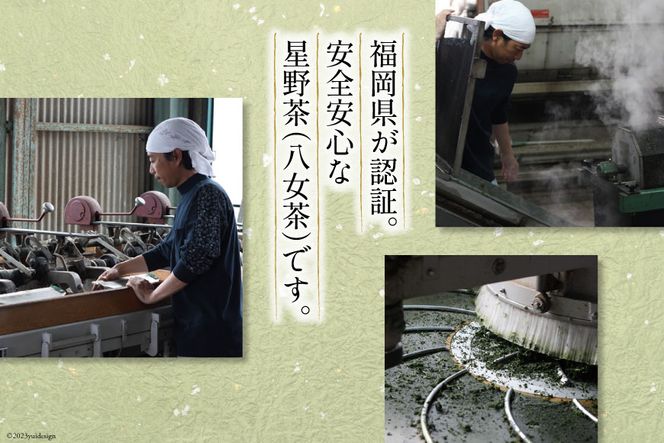 茶 深蒸し 高級 煎茶 (深蒸し茶) 100g×2袋 [ベネフィス 福岡県 筑紫野市 21760992] お茶 緑茶 日本茶 八女茶 煎茶 茶葉 星野茶 八女 奥八女星野村