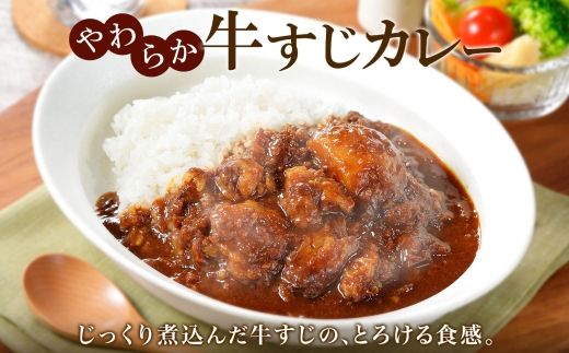 779.牛すじカレー 10個 中辛 じゃがいも 牛 牛肉 肉 業務用 レトルトカレー 保存食 備蓄 まとめ買い 北海道 弟子屈町