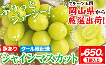 【先行予約】 シャインマスカット 岡山 約650g 1房 厳選 旬 ぶどう ブドウ 葡萄 マスカット 果物 フルーツ ギフト 岡山県 笠岡市 訳あり クール便 爽やか 贅沢《2024年9月中旬～11月中旬頃出荷》---223_c852_9c11c_24_9500_650g---