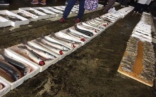 しゅうまい 【レンジでチン！】 魚市場のシュウマイ4種詰め合わせ （各6個 計24個入） 鱧しゅうまい 椎茸焼売 エビシュマイ いかしゅうまい シュウマイ 焼売 海鮮 しゅうまい おつまみ お弁当 レンチン レンジ調理 便利 (0B2-82)