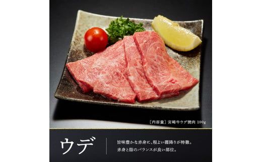 宮崎牛 焼肉 6種 食べ比べ セット 【 肉 牛肉 国産 黒毛和牛 】 [D0645]