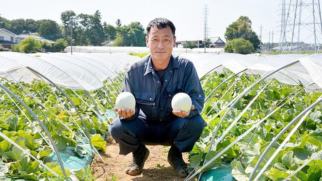 【 先行予約 】 【 2024年5月下旬以降発送 】 農家直送 プリンスメロン 1箱 約5kg ( 7～8玉入り ) 期間限定 産地直送 果物 フルーツ メロン 甘い [CM001ya]