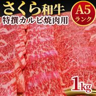 A5さくら和牛特撰カルビ焼肉用1kg 肉 焼肉 国産牛 グルメ 送料無料※着日指定不可◇