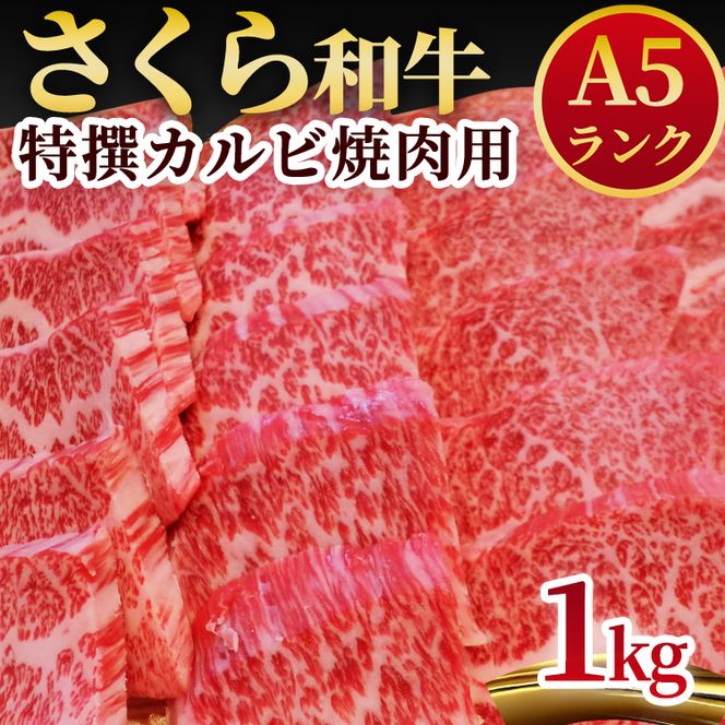 yȖ،szA5aJrēp1kg  ē Y O ws