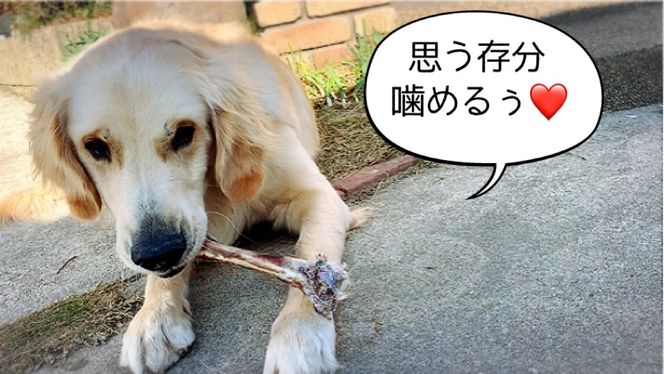 FB142_大型犬向け☆天然いのししのスモーク骨ガム3本／みやき町