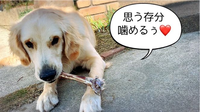 FB145_大型犬向け☆天然いのししのスモーク骨ガム6本／みやき町