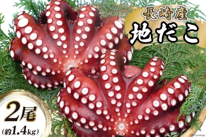 y茧szCB044 Y n2(1.4kg)