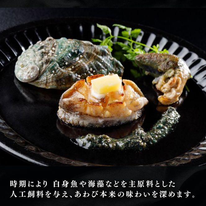 三陸翡翠あわび お試しセット 30g×12個 冷凍 鮑 青空レストラン 蝦夷あわび アワビ 鮑 Abalone ステーキ バターソテー 正月 お正月 おせち 蒸し鮑 バーベキュー BBQ ごはん 夕飯 おかず おつまみ 晩酌 海産物 海鮮 魚介 魚介類 贈答品 お中元 お歳暮 大船渡 三陸 岩手県 国産[hisui002]