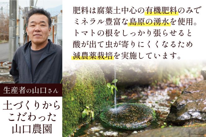 AF014 全国にファンがいる高級フルーツトマト アイコ たっぷり！1kg [トマト フルーツトマト 1キロ 山口農園 長崎県 島原市]