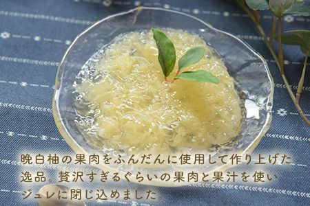 晩白柚ジュレ170g×12個 道の駅竜北《30日以内に出荷予定(土日祝除く)》 熊本県氷川町---sh_cmitijure_30d_23_17000_12p---