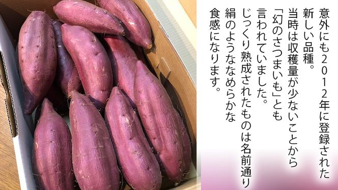 さつまいも 「 シルクスイート 」 5kg 旬 甘い 芋 いも サツマイモ スイーツ 野菜 [AM068us]