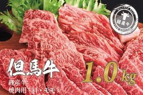020AA11N.但馬牛経産牛「焼肉用」（肩・モモ）1kg(500g×2)
