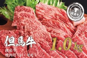 020AA11N.但馬牛経産牛「焼肉用」（肩・モモ）1kg(500g×2)