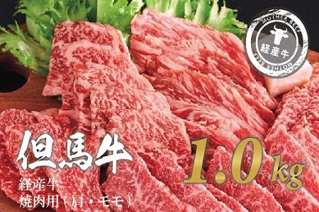 yɌs쒬z020AA11N.AnoYuēpviEj1kg(500g×2)