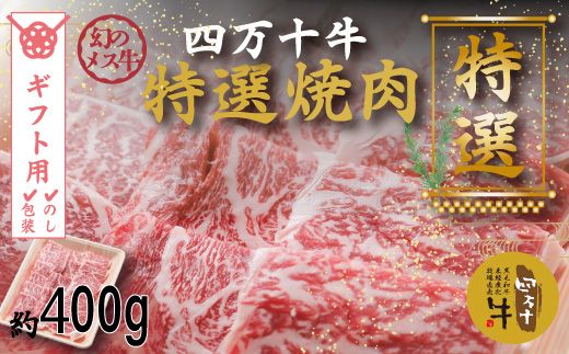 【ギフト用（包装・のし対応）】R5-001G．幻のメス牛 四万十牛特選焼肉（約400ｇ）